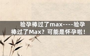 验孕棒过了max----验孕棒过了Max？可能是怀孕啦！