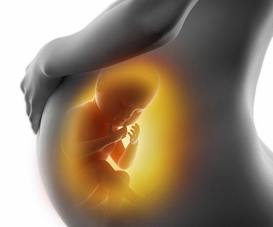 整肠生会影响验孕棒测试吗